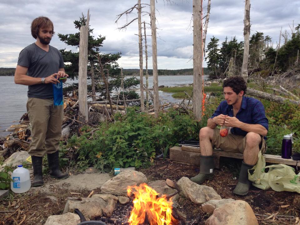 One Year Update on the Island We Bought