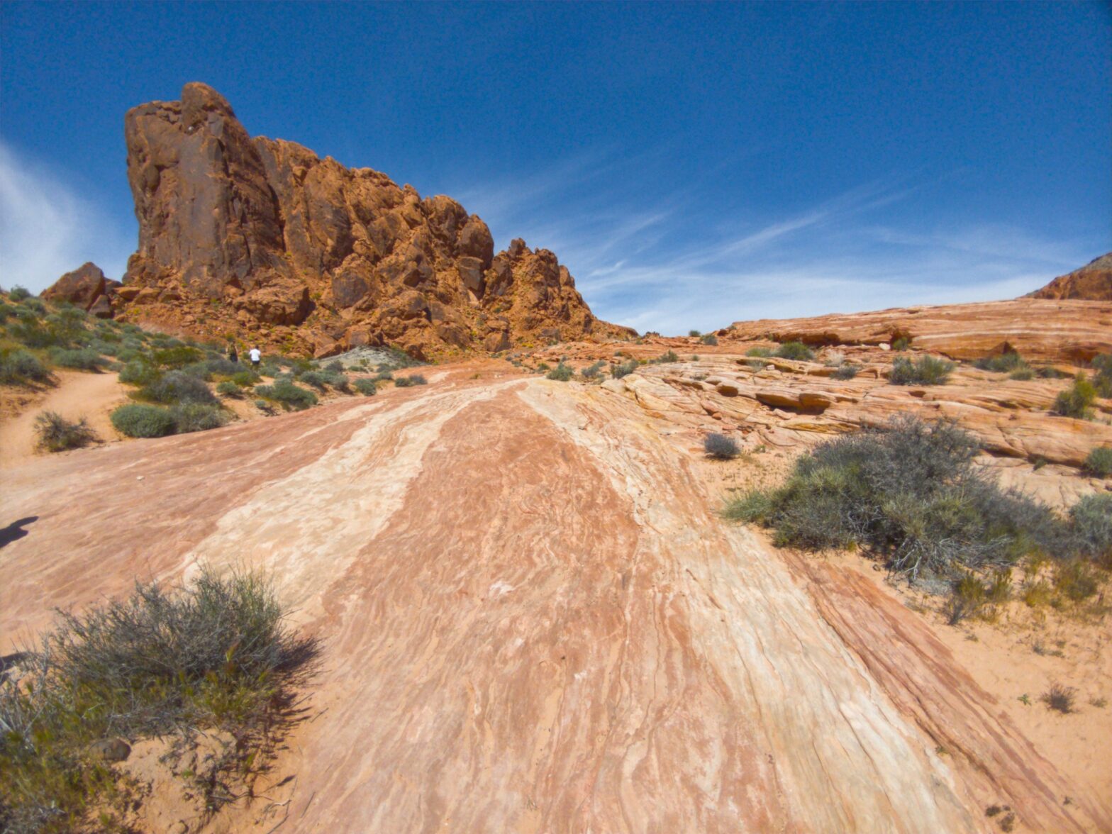 The Benefit of Automating Everything