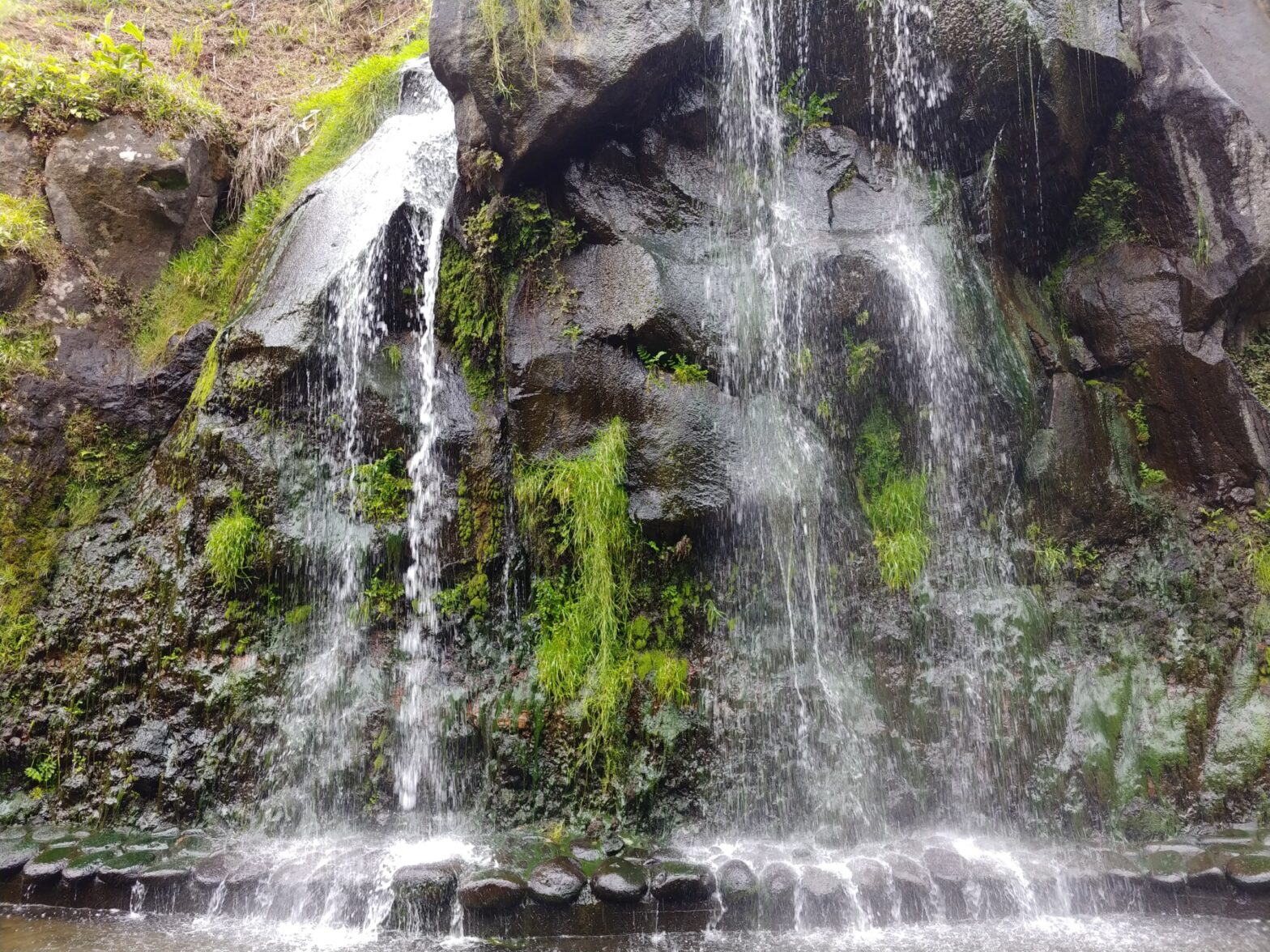 How I Manage Money Part One — Saving and Earning