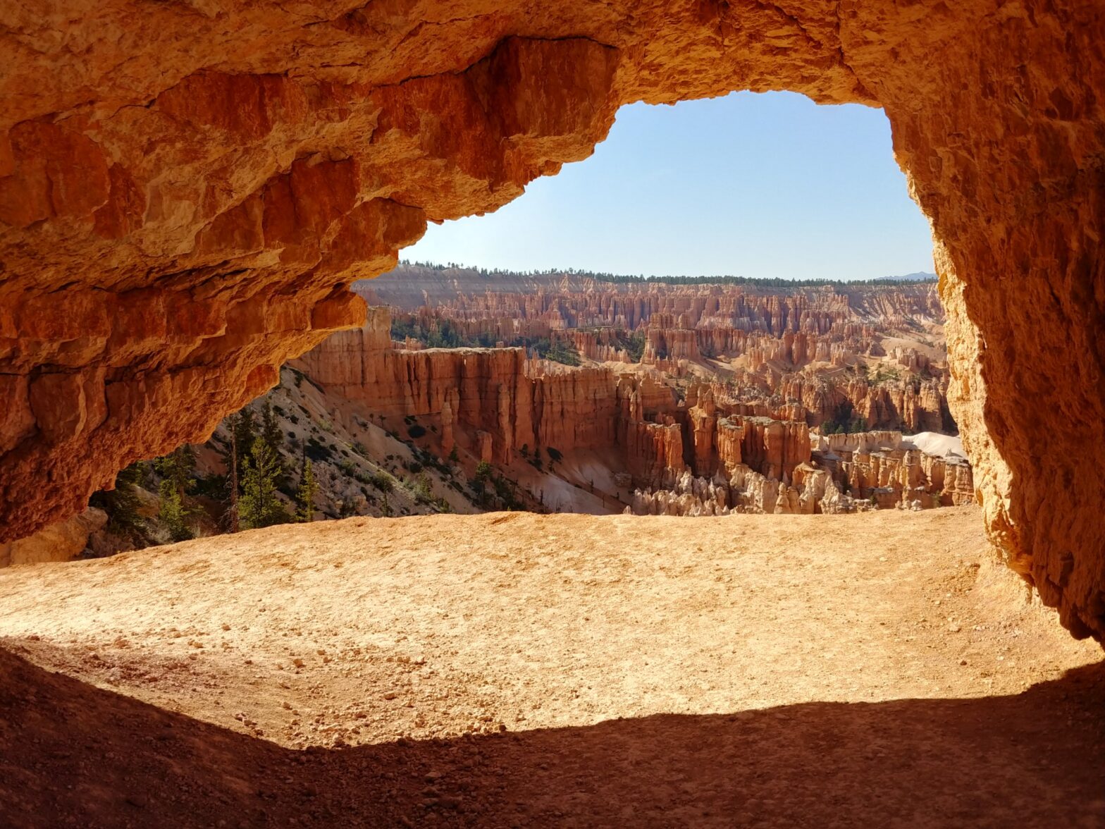 Living Frugally and Loving It