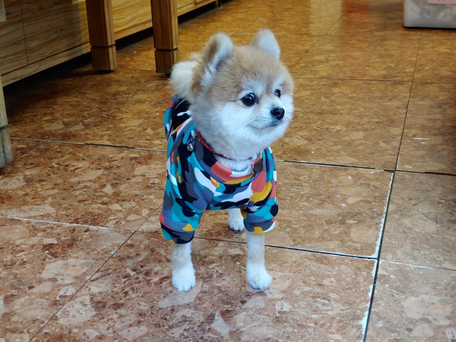 Crushing Persistent Problems