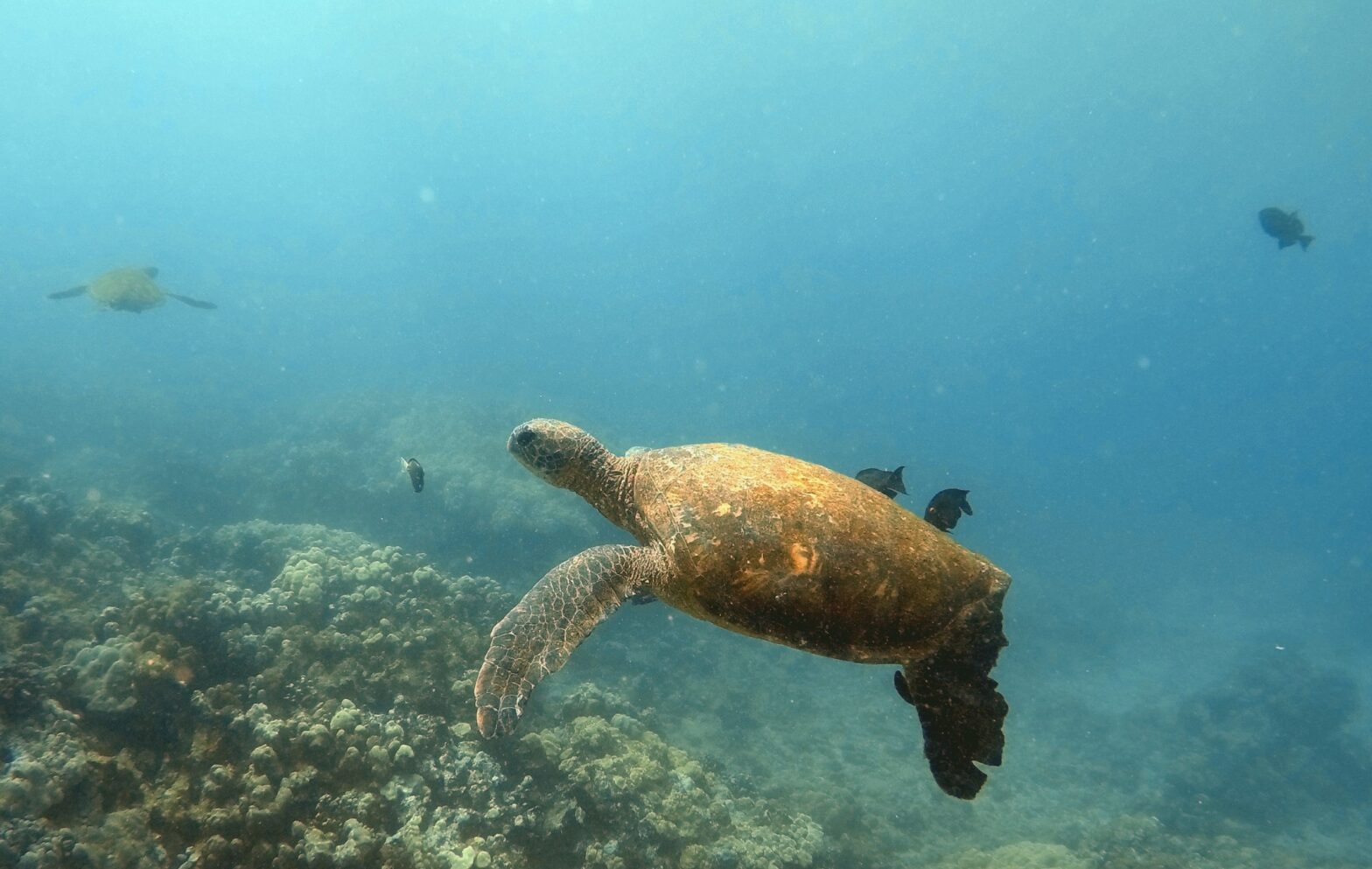 The Three Books I Most Recommend